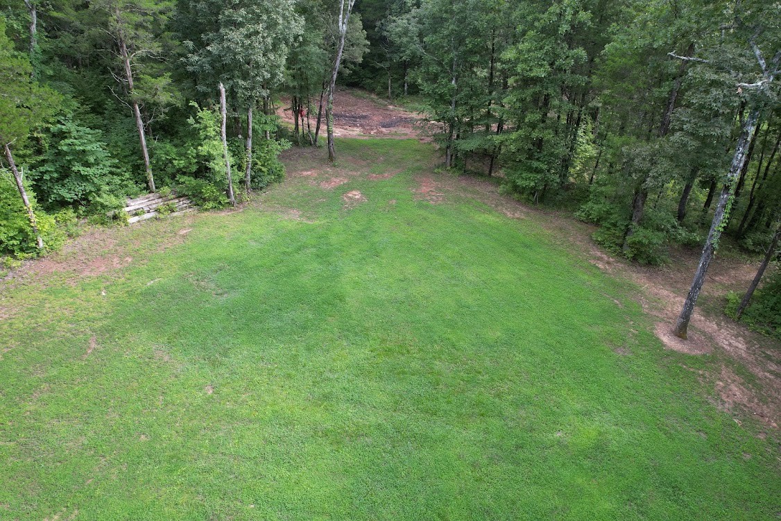 0 New Era Landing Road Linden, TN 37096 - Photo 15 of 18 a view of green field with trees in the background