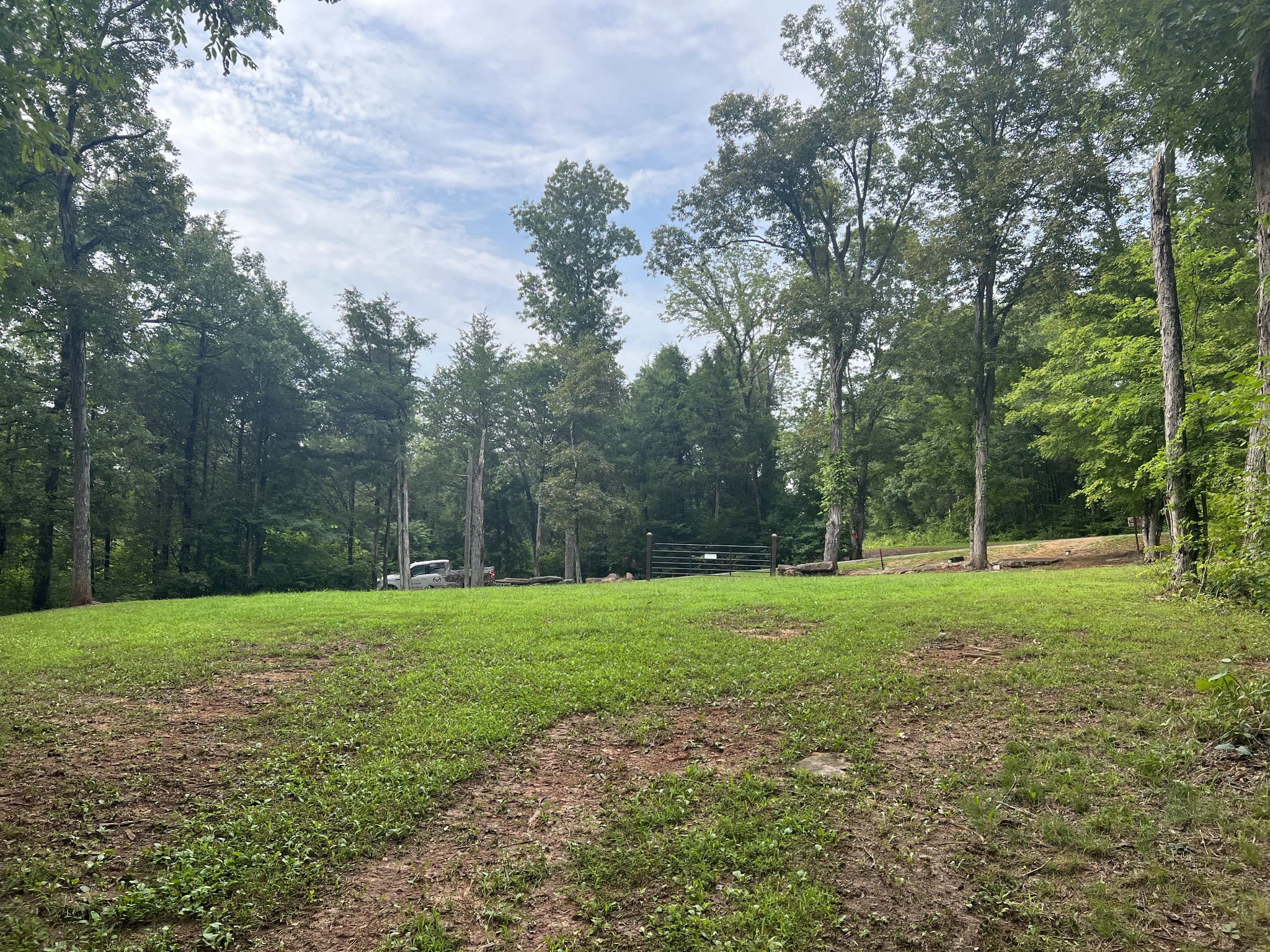 0 New Era Landing Road Linden, TN 37096 - Photo 2 of 18 a view of a big yard with trees