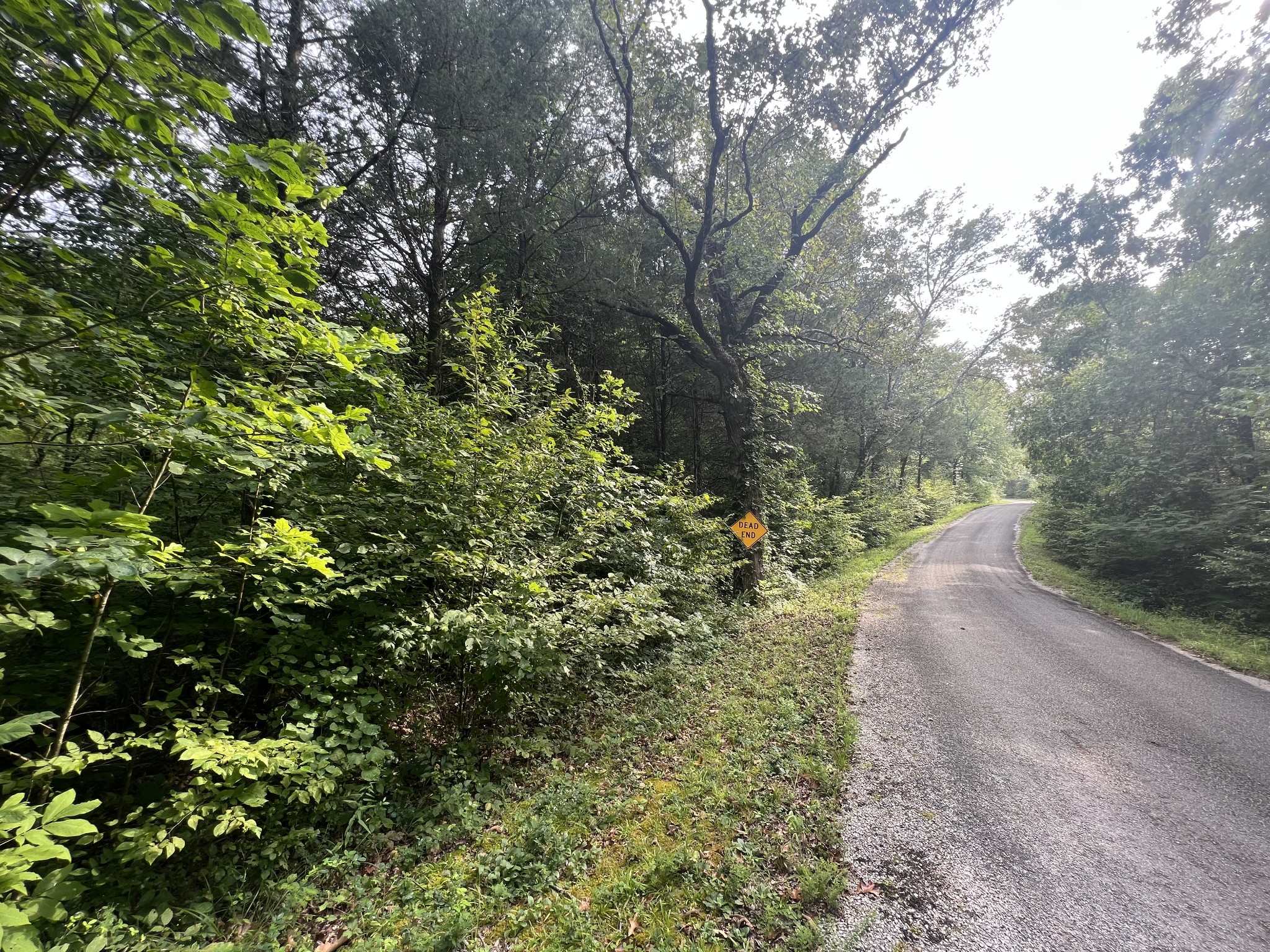 0 New Era Landing Road Linden, TN 37096 - Photo 3 of 18 a view of a forest with trees