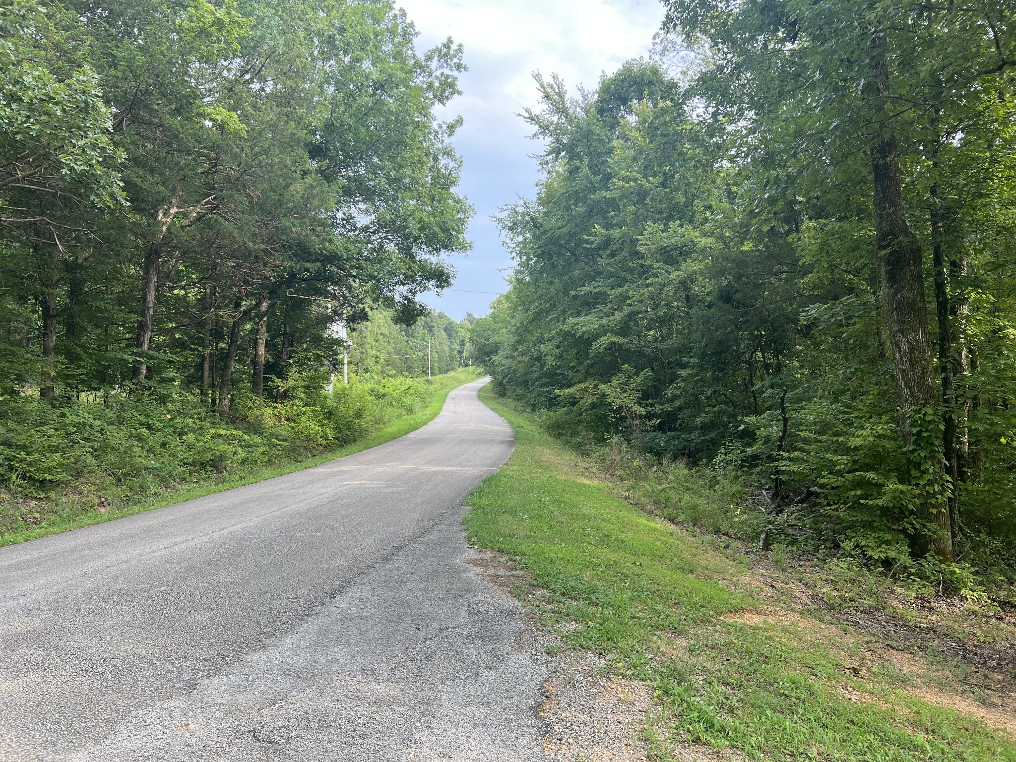 0 New Era Landing Road Linden, TN 37096 - Photo 5 of 18 a view of a forest with trees