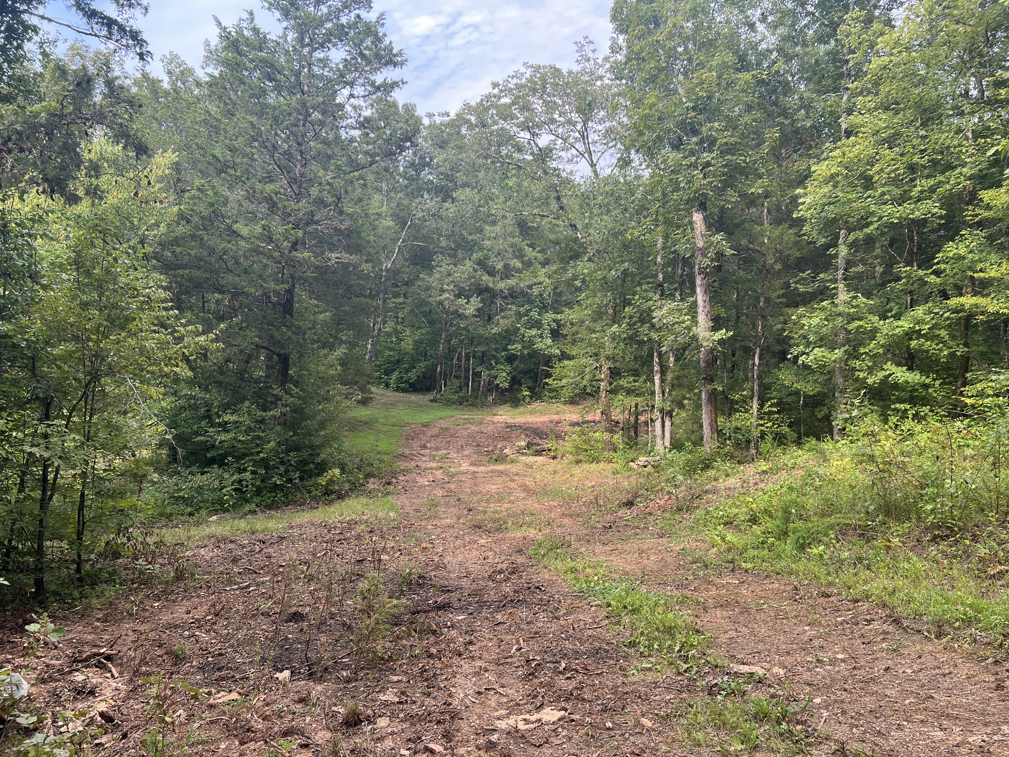 0 New Era Landing Road Linden, TN 37096 - Photo 8 of 18 a view of a forest with trees in the background
