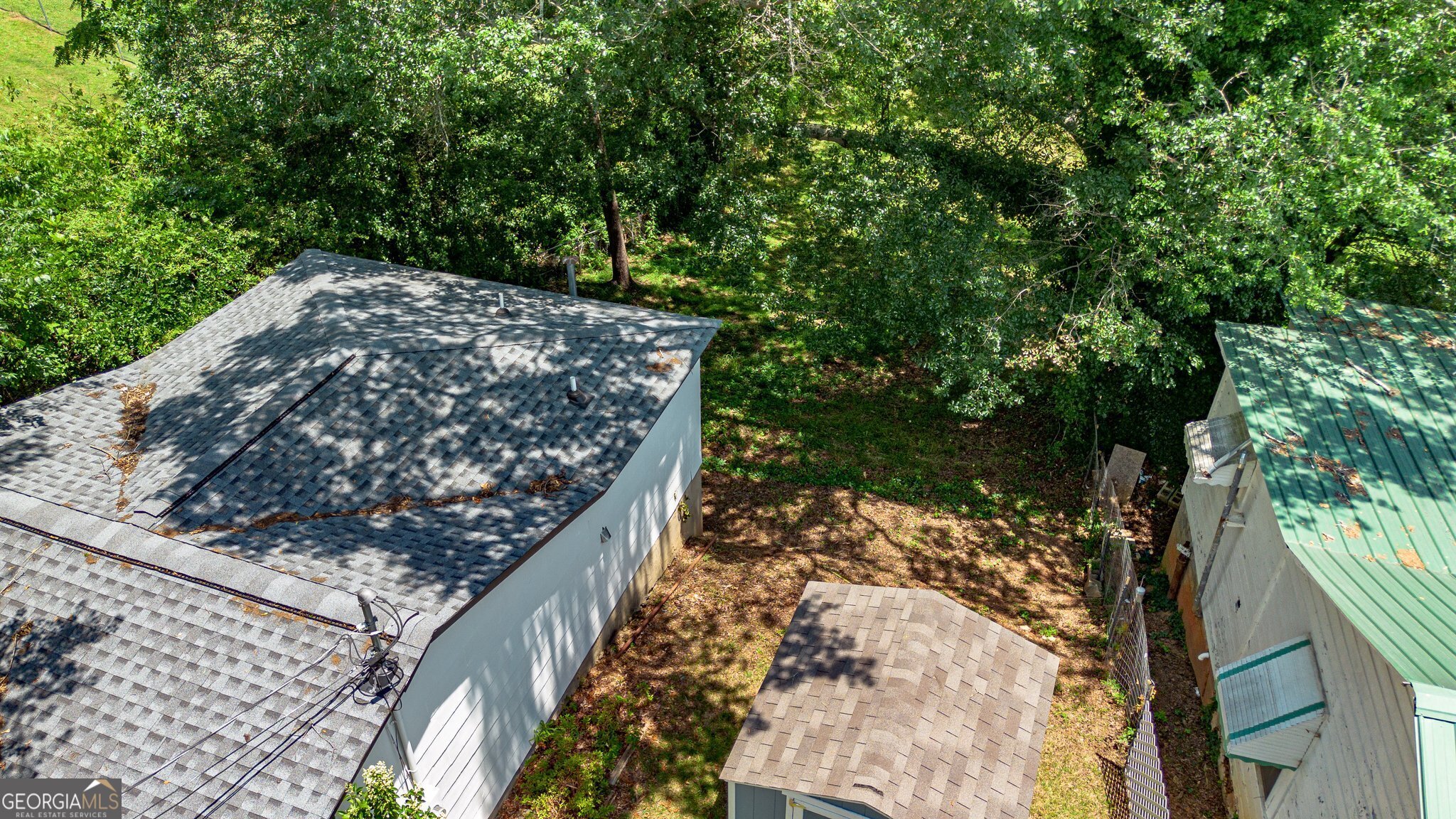 128 Branch Street Toccoa, GA 30577 - Photo 29 of 38 a view of a tree in a backyard of a house