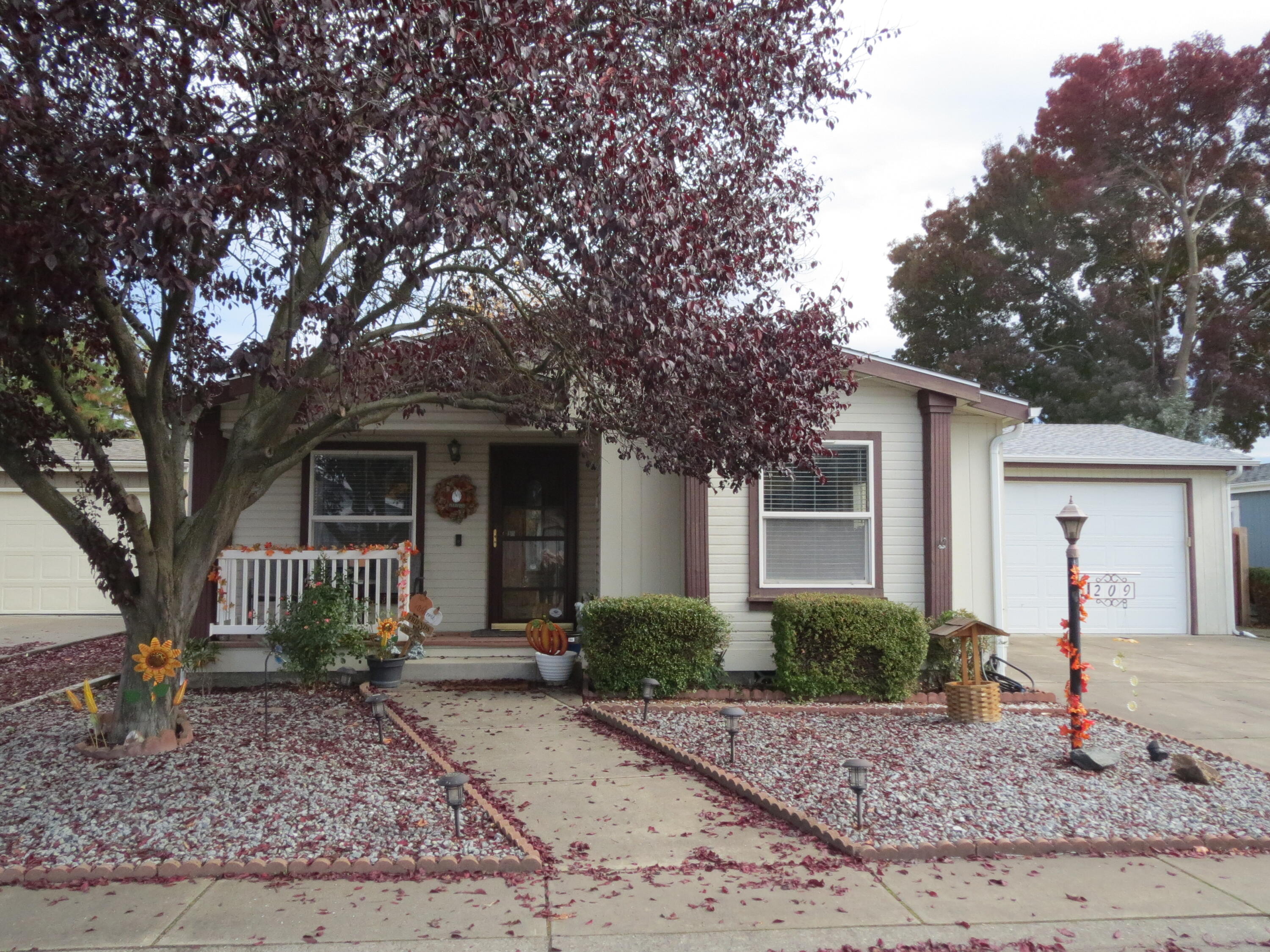 555 Freeman Road, Unit 209 Central Point, OR 97502 - Photo 1 of 11 IMG_1040 (1)