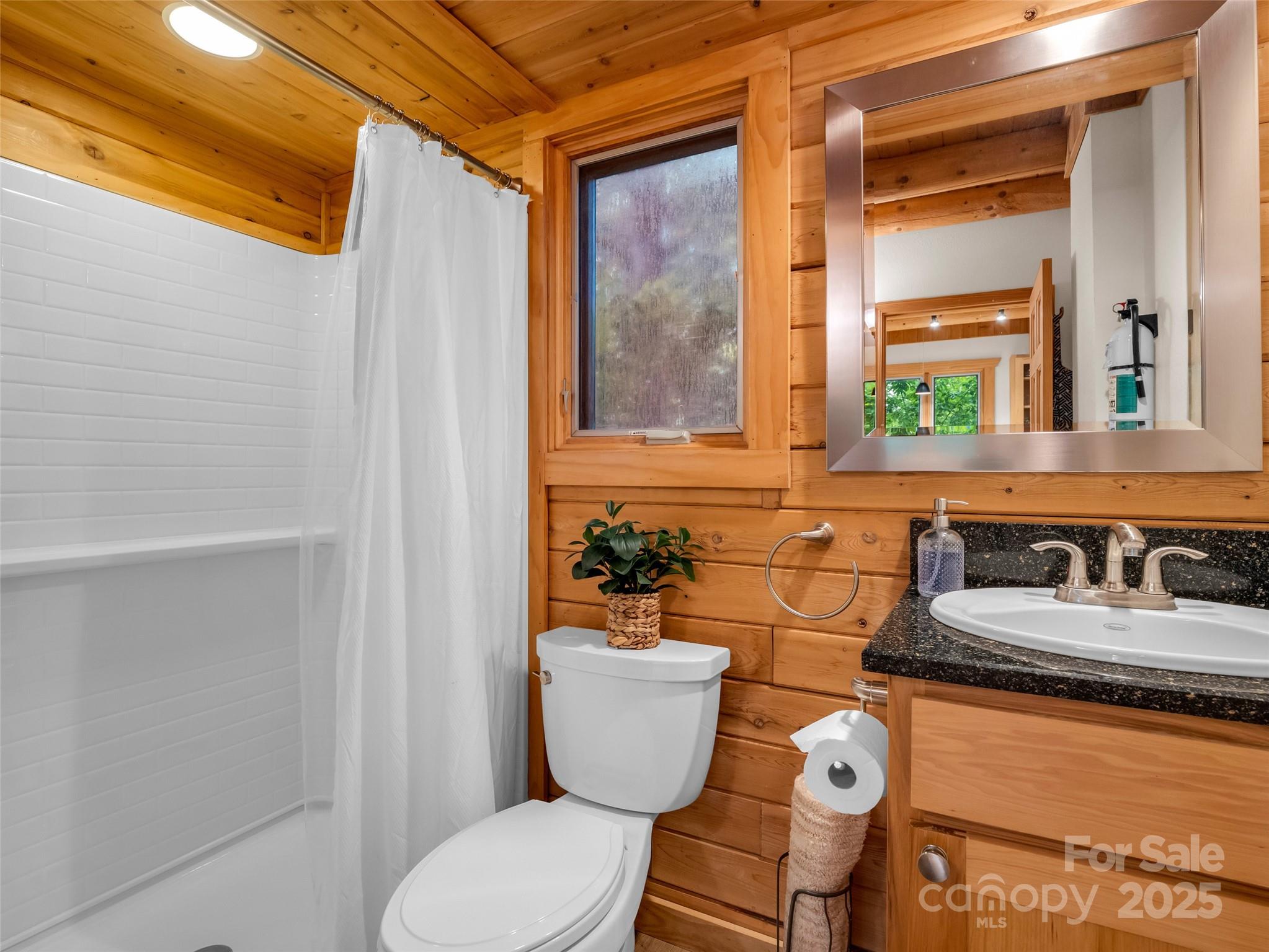 105 Sunset Cove Road Lake Lure, NC 28746 - Photo 16 of 42