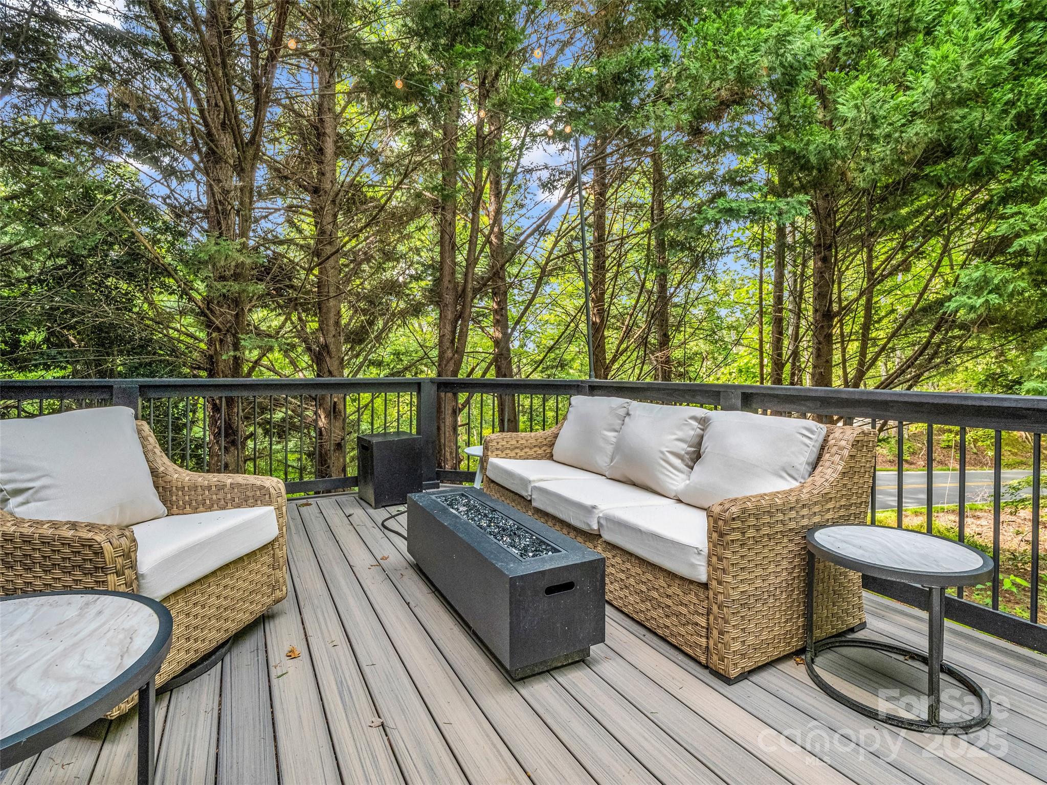 105 Sunset Cove Road Lake Lure, NC 28746 - Photo 6 of 42