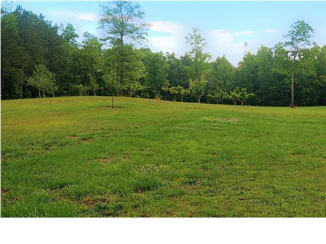 4176 Clonts Road Apison, TN 37302 - Photo 25 of 26 Additional Photo