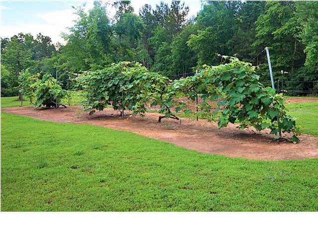 4176 Clonts Road Apison, TN 37302 - Photo 26 of 26 Additional Photo