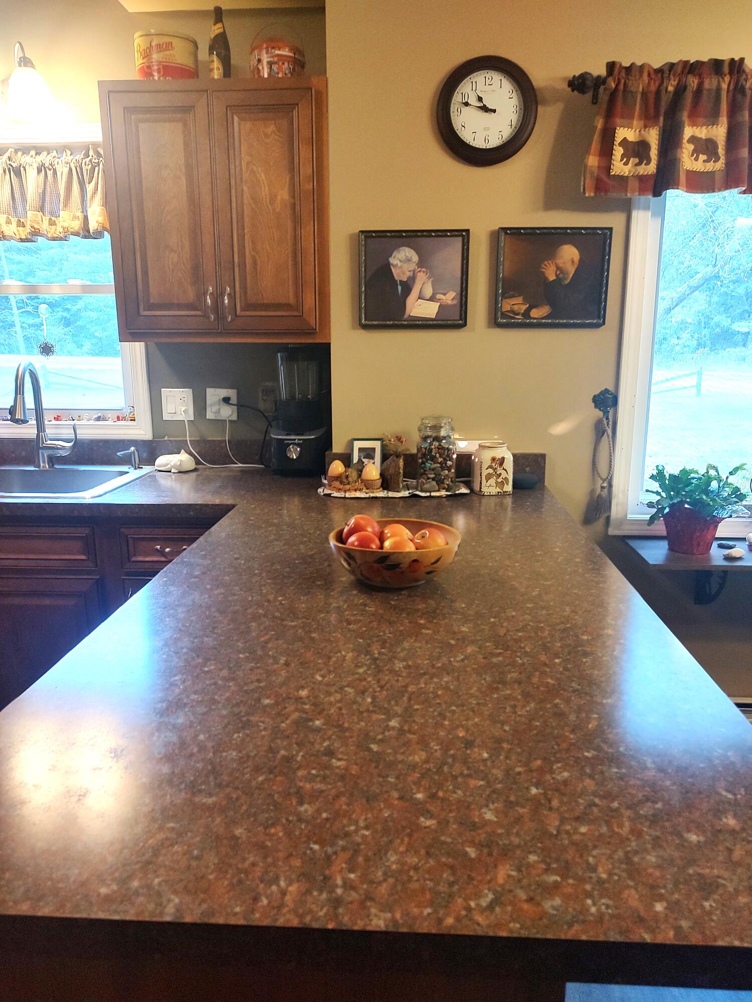 162 North St Helen Road St. Helen, MI 48656 - Photo 5 of 50 Gallery Image 5