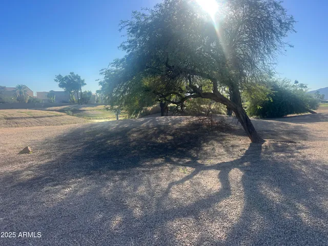 a view of a field with trees in background