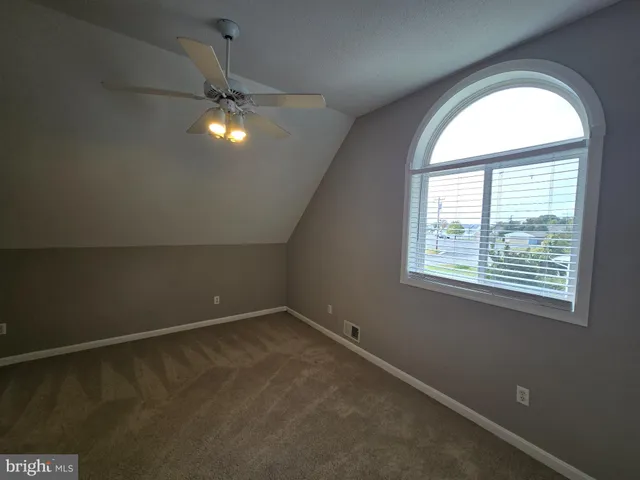 a view of a forest with lots of trees