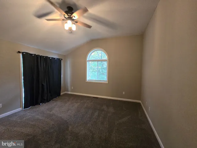 a view of a lush green forest
