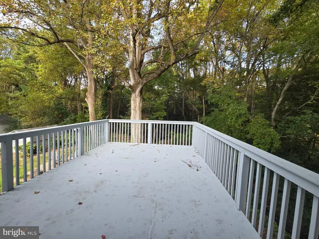 a view of a lush green forest
