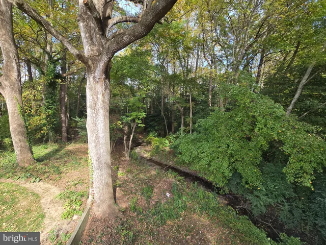 a view of a backyard with a garden