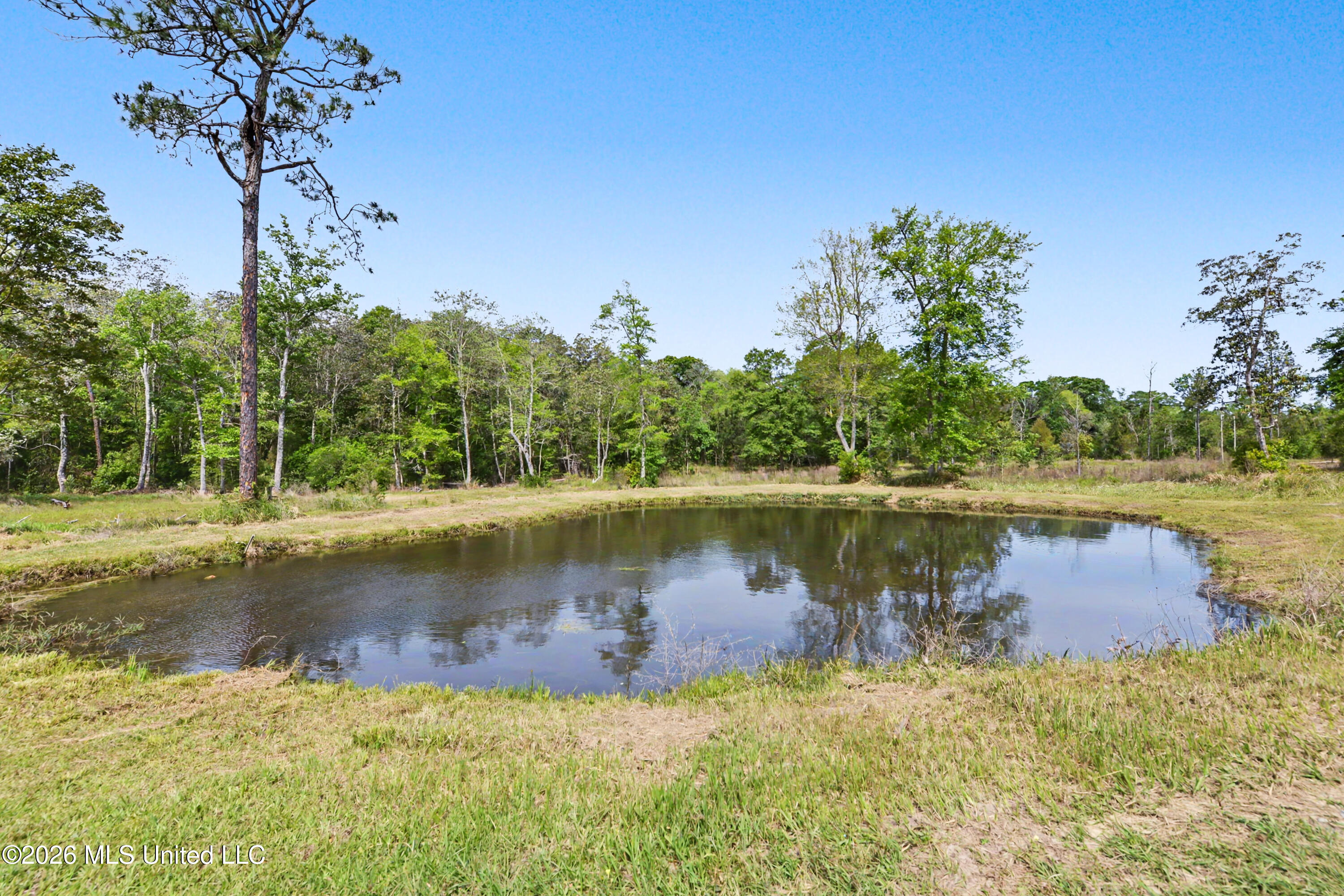 161 Ranch Road Lucedale, MS 39452 - Photo 23 of 25 IMG_4248