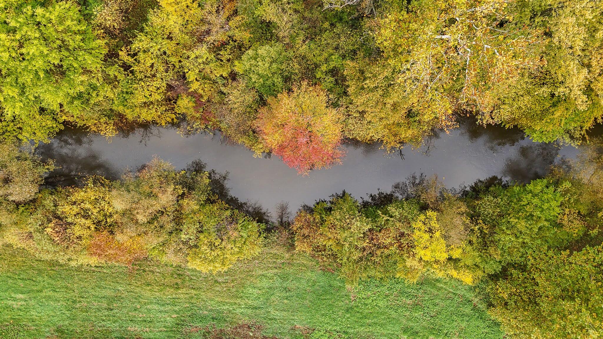 Vl Twin Lakes Road Decatur, MI 49045 - Photo 11 of 12 dji_fly_20251023_102850_0900_17612300067