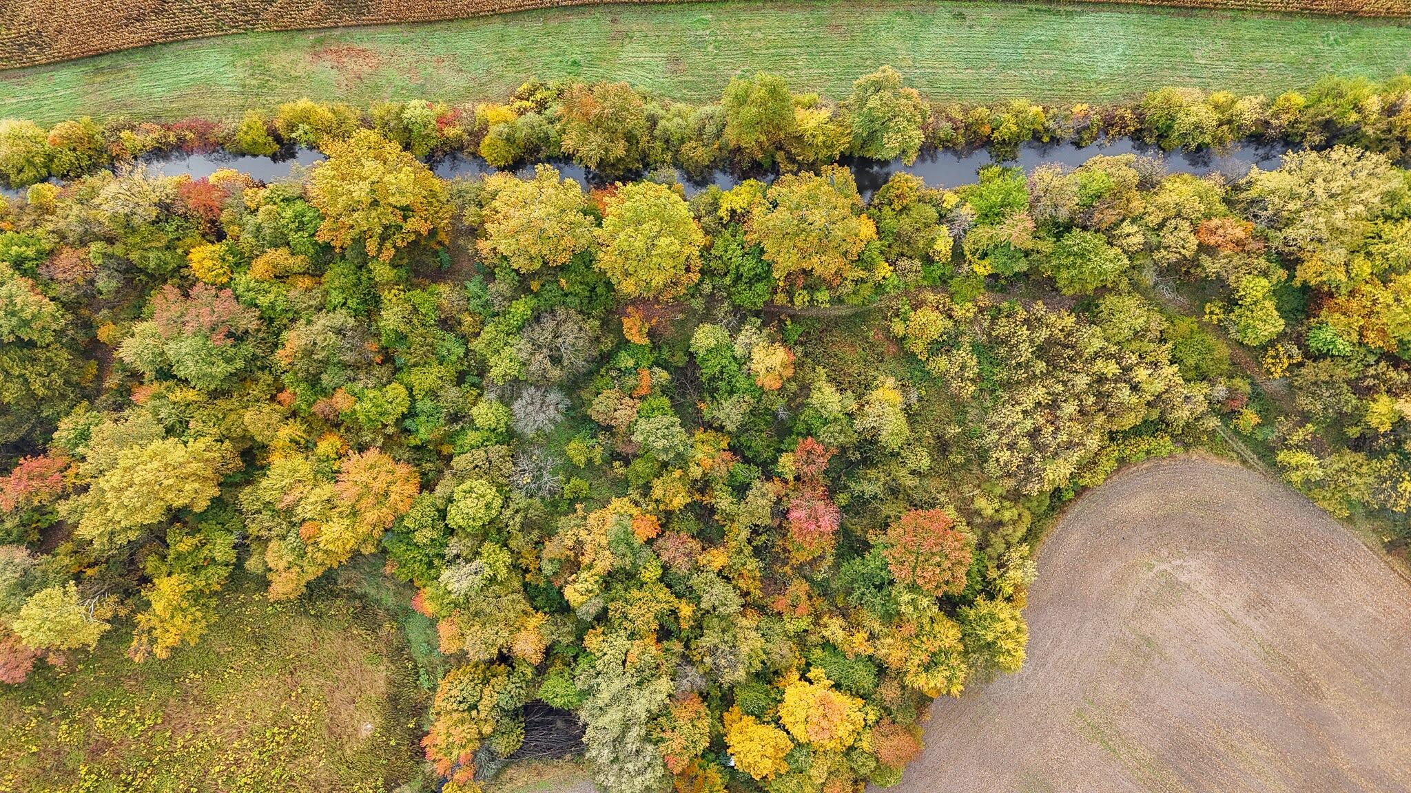 Vl Twin Lakes Road Decatur, MI 49045 - Photo 8 of 12 dji_fly_20251023_102520_0894_17612300133