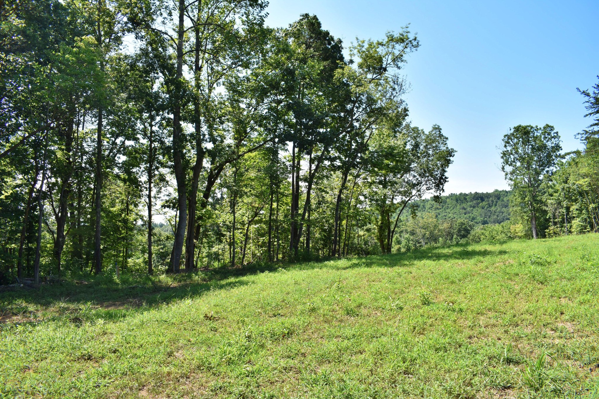 521 Norton Road Philadelphia, TN 37846 - Photo 7 of 42