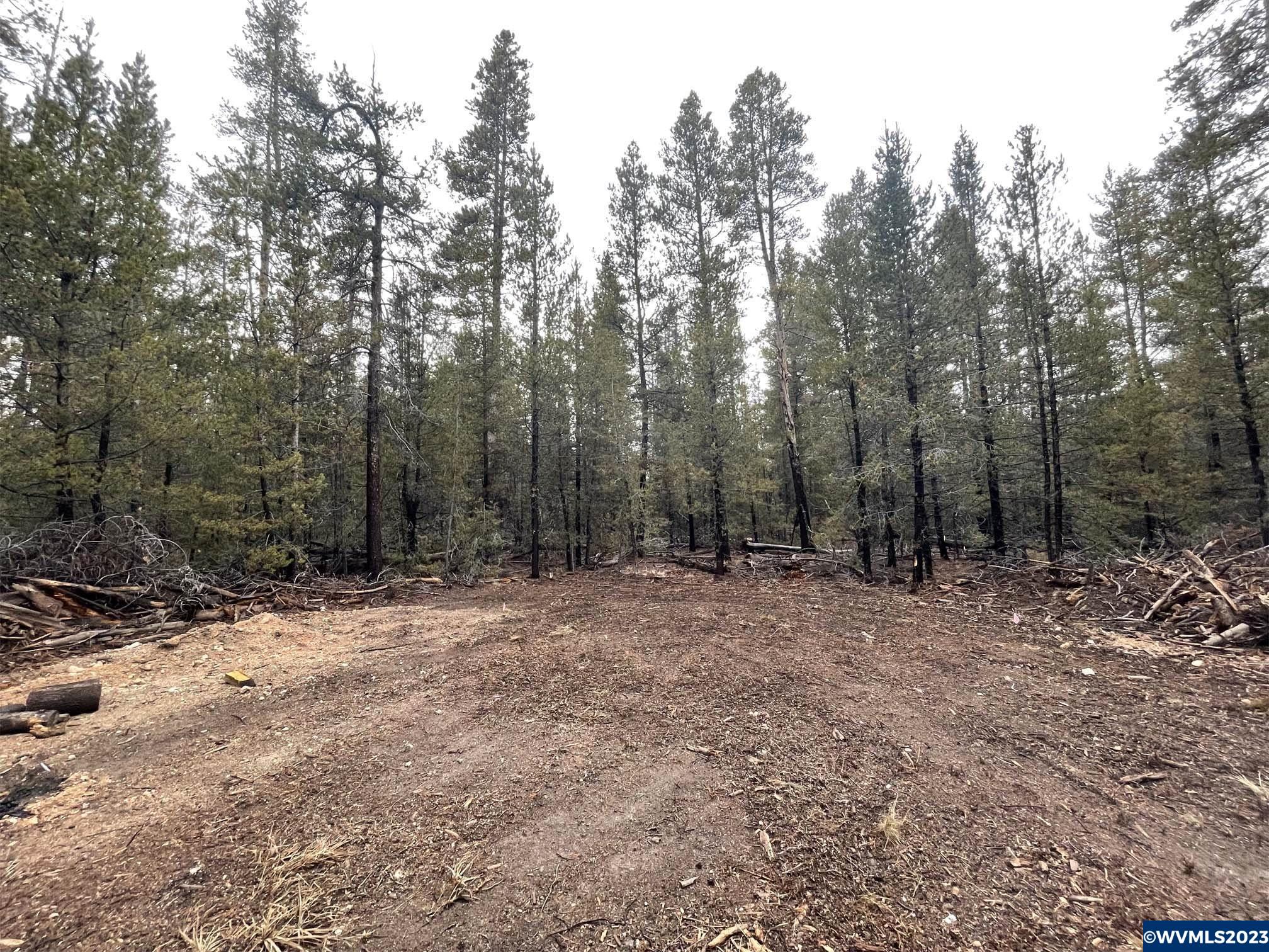 500 Cloudcap Drive Chiloquin, OR 97624 - Photo 5 of 23