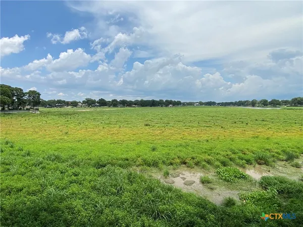a view of a pathway both side of grassy field with shrub