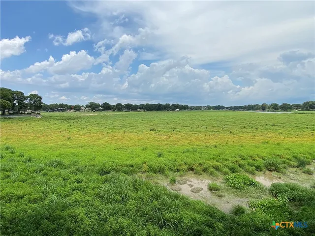 a view of a pathway both side of grassy field with shrub