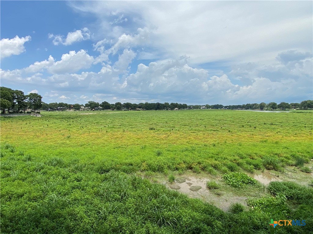 535 Ski Lodge Road, Unit 2 McQueeney, TX 78123 - Photo 8 of 10 a view of a pathway both side of grassy field with shrub