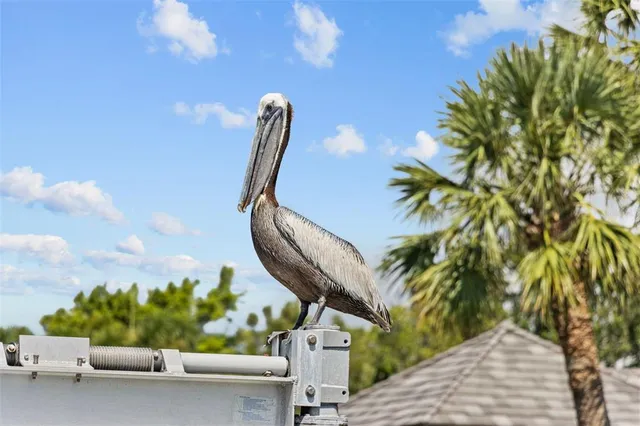 a view of a lake with boats and trees in the background