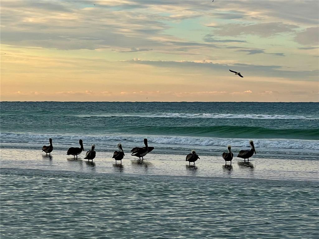 1002 Glebe Lane Sarasota, FL 34242 - Photo 38 of 48