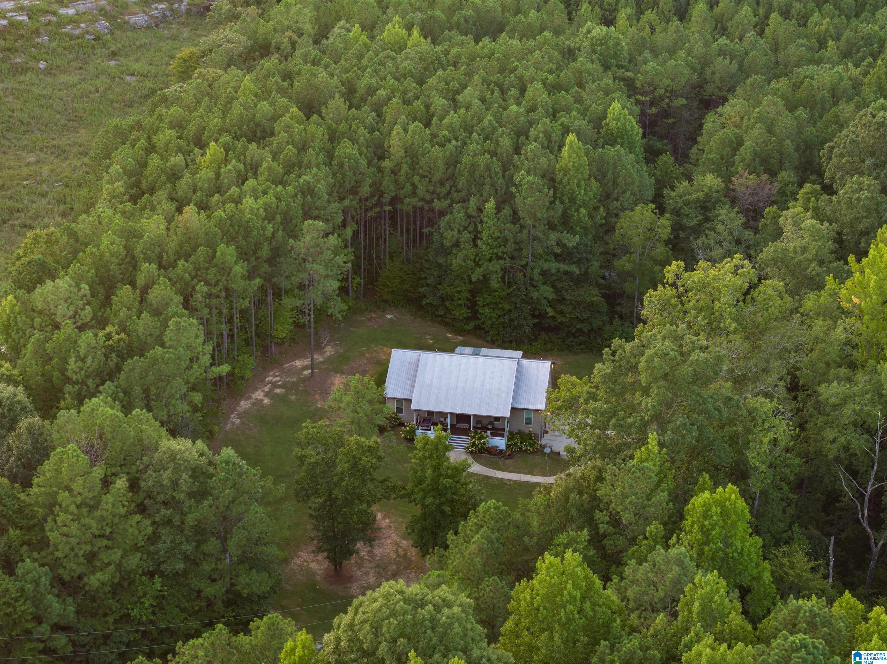 7844 Lowe Drive Springville, AL 35146 - Photo 34 of 39