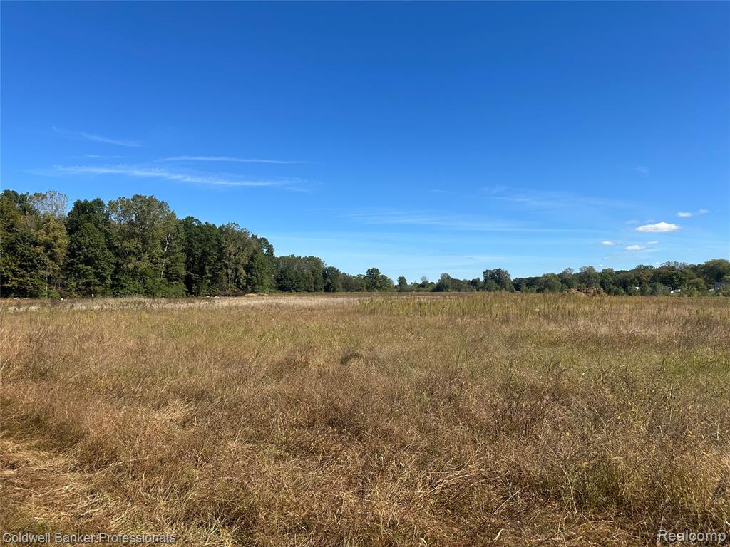 14235 Wanty Road Milan, MI 48160 - Photo 11 of 19
