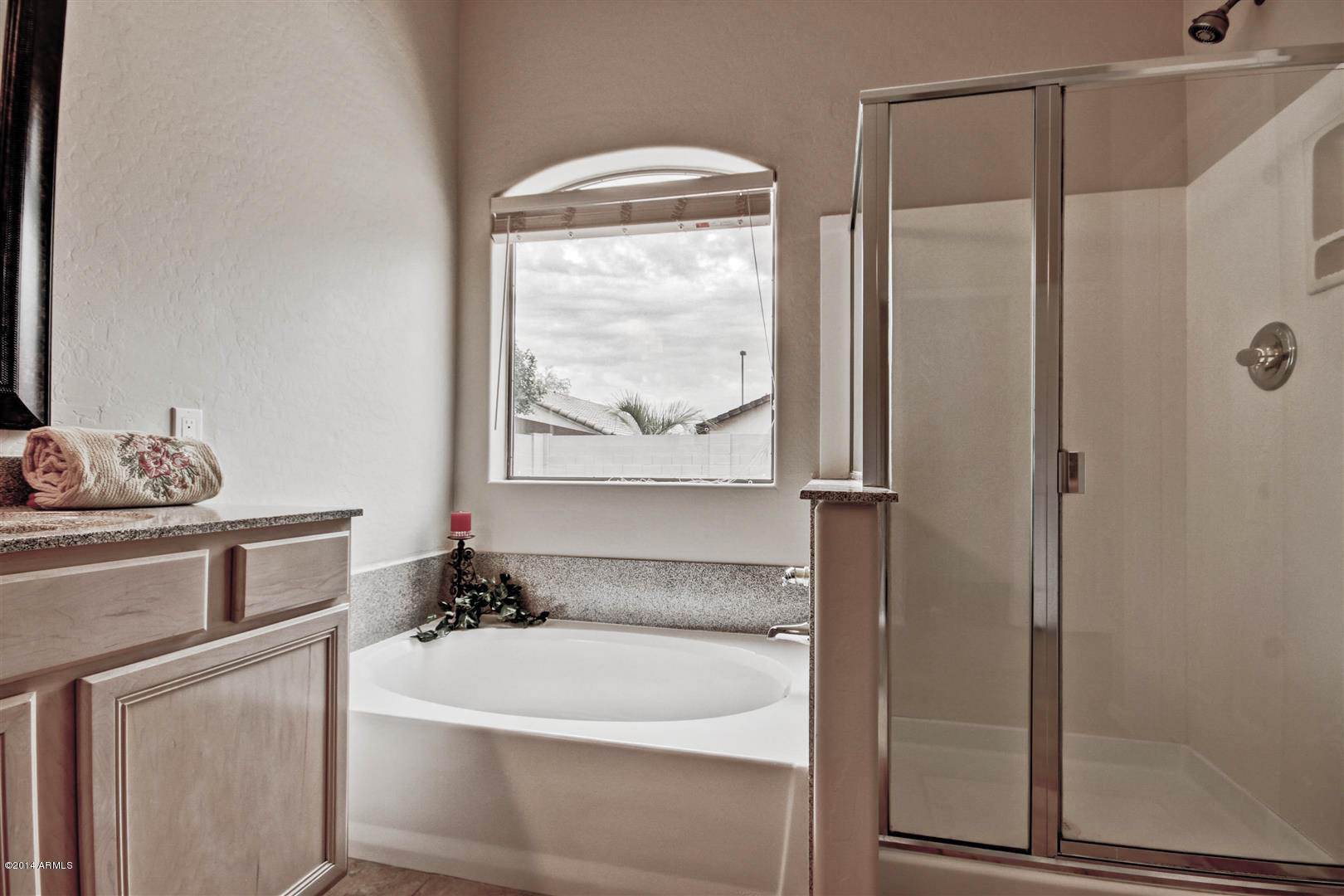 726 East Ranch Road Gilbert, AZ 85296 - Photo 17 of 23 Master Bath
