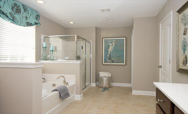 313 Beautyberry Road Summerville, SC 29486 - Photo 7 of 13 Master Bathroom