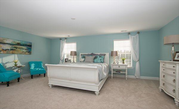 313 Beautyberry Road Summerville, SC 29486 - Photo 8 of 13 Master Bedroom