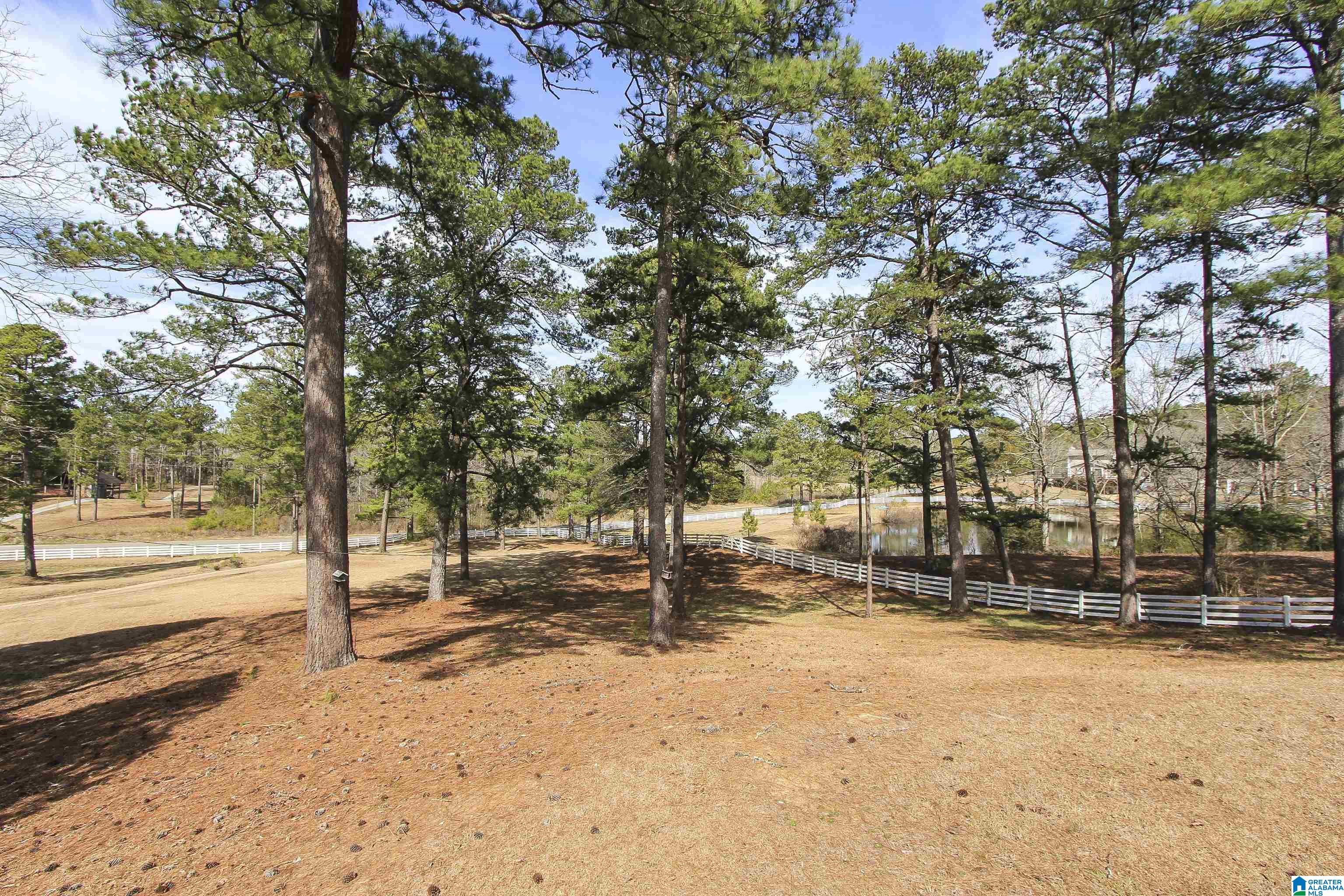 3280 Kirkseys Bend Ohatchee, AL 36271 - Photo 63 of 70 Gallery Image 63
