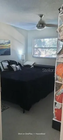 a room with furniture and a window