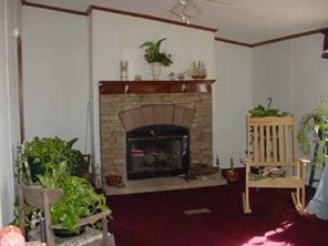967 Tot Dellinger Road Cherryville, NC 28021 - Photo 6 of 7 a living room with a fireplace and a potted plant