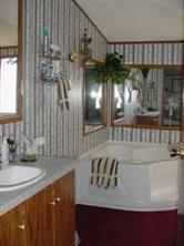 967 Tot Dellinger Road Cherryville, NC 28021 - Photo 7 of 7 a bathroom with a sink and a mirror
