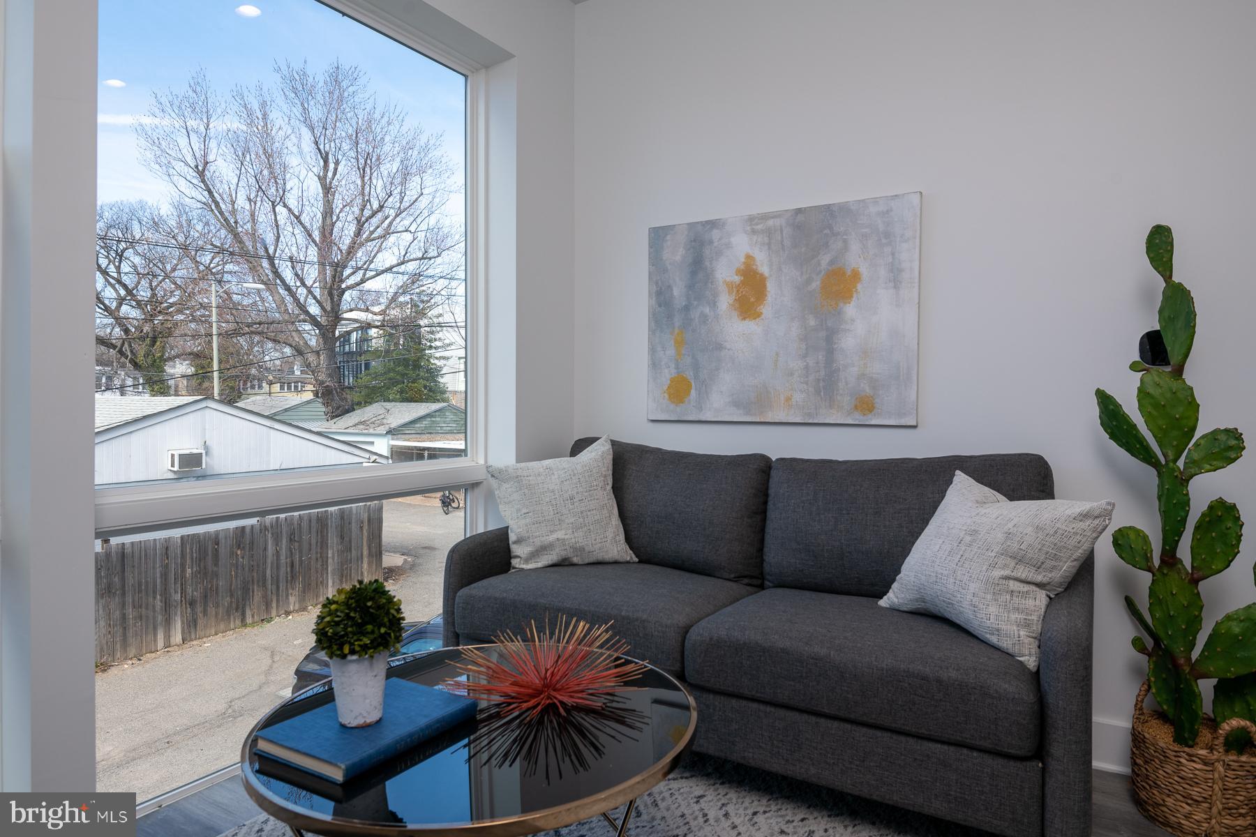 818 Bladensburg Road Northeast, Unit 203 Washington, DC 20002 - Photo 8 of 13 a living room with furniture and a potted plant