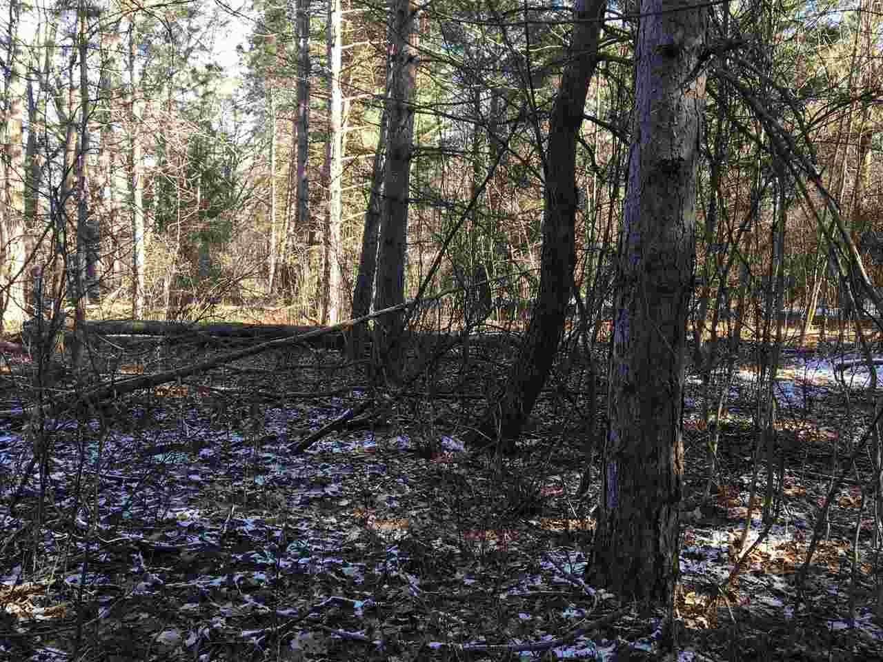 Parcel A North Byron Road Lennon, MI 48449 - Photo 22 of 22