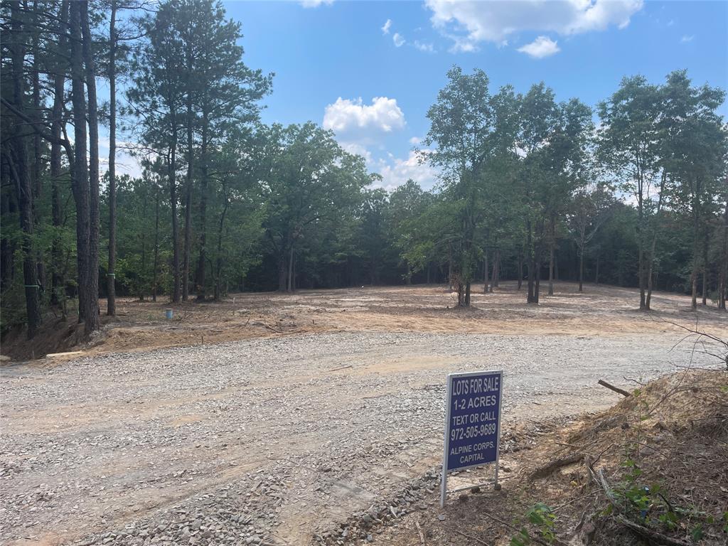109 Pr 3900 Road Gilmer, TX 75644 - Photo 1 of 1 a backyard of a house with lots of green space