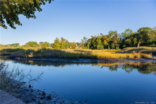 a view of a lake with a house in the background