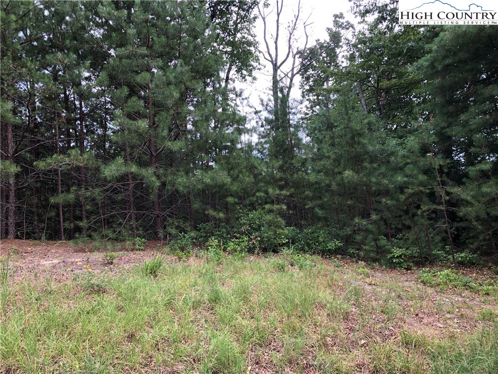 Lot 212 Casey Mountain Road Purlear, NC 28665 - Photo 14 of 31 Gallery Image 14