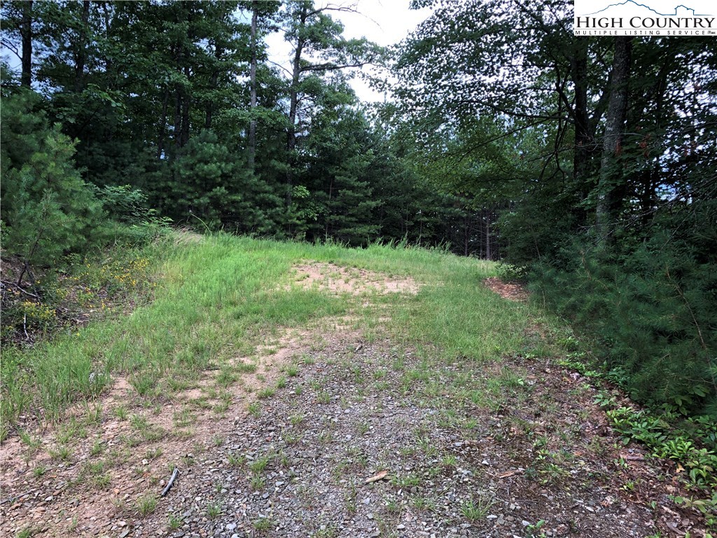 Lot 212 Casey Mountain Road Purlear, NC 28665 - Photo 6 of 31 Gallery Image 6