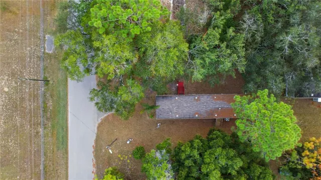a view of a garden with potted plants