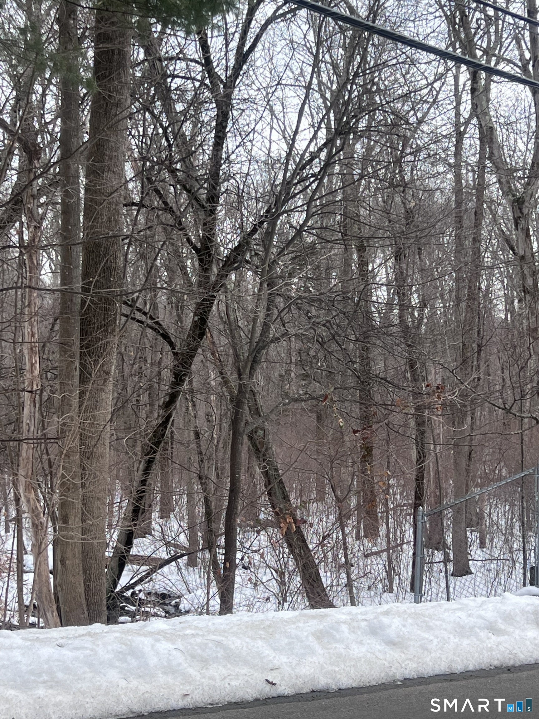a view of a backyard of the house