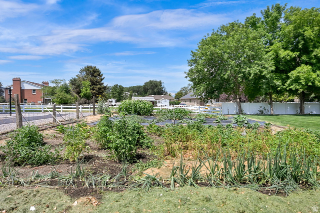 13658 South Fort Street Draper, UT 84020 - Photo 66 of 87 Cultivated garden area featuring organized rows of vegetation