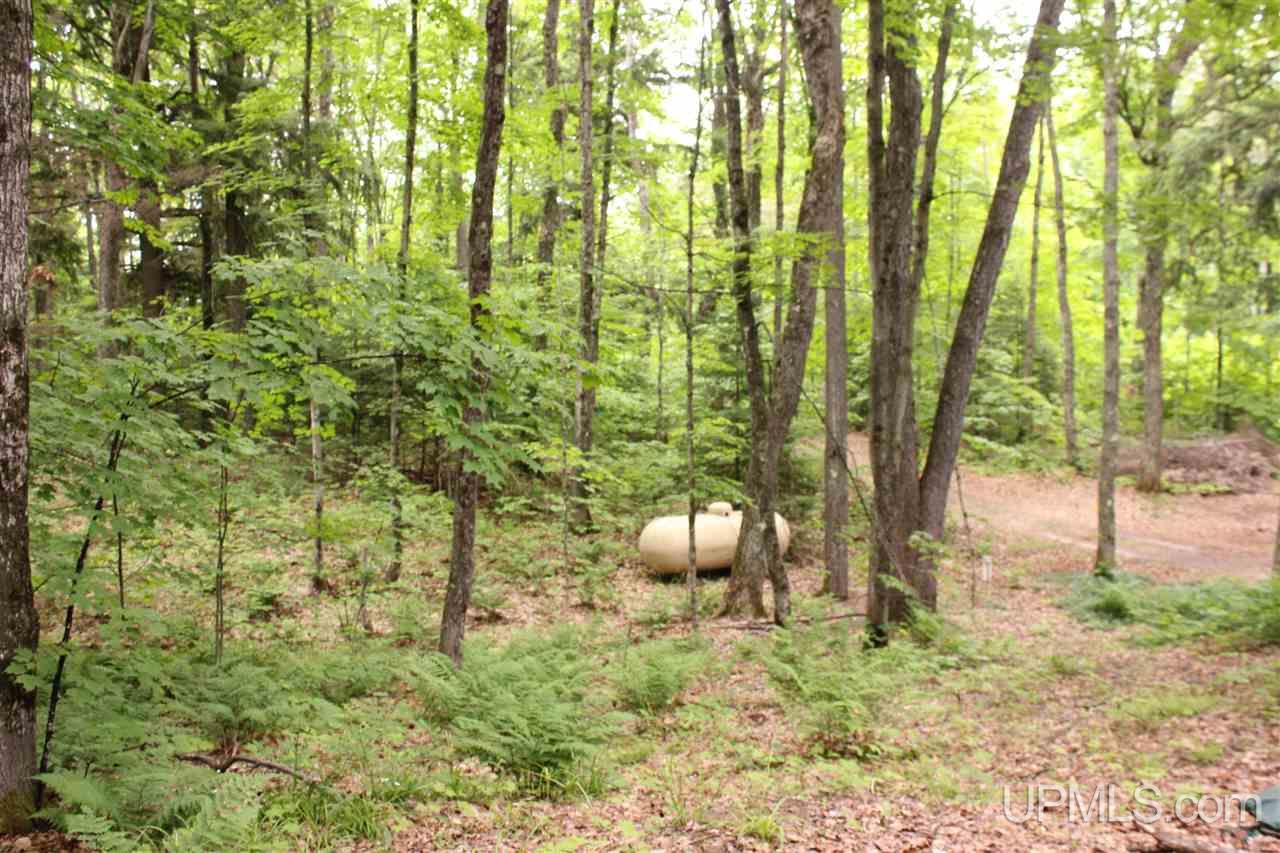 E7143 Maple Grove Road Munising, MI 49862 - Photo 31 of 41