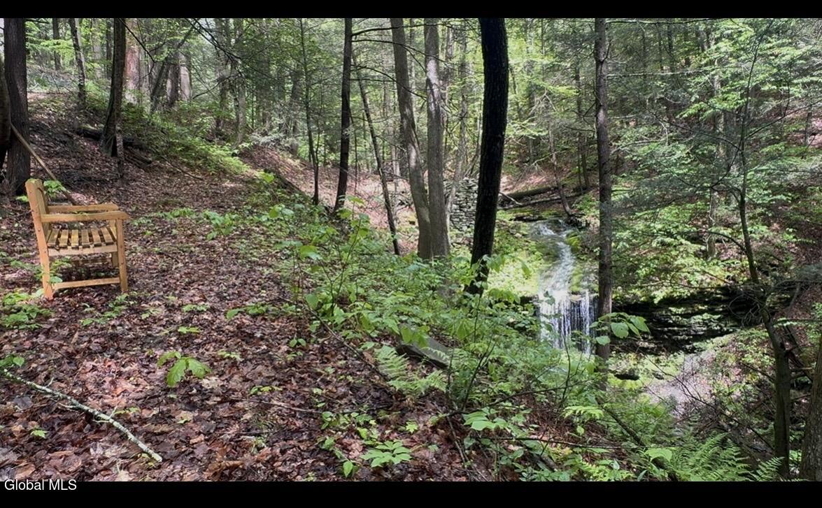 392 Burnt Hill Road Blenheim, NY 12131 - Photo 4 of 32 IMG_0724