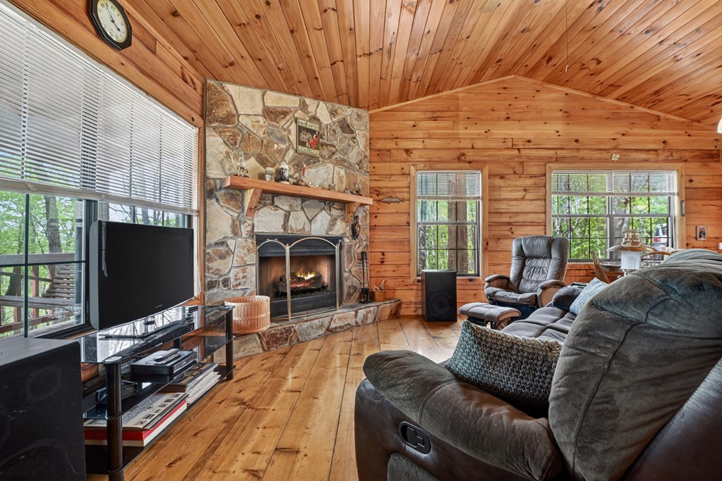 660 Ripshin Mountain Road Blue Ridge, GA 30513 - Photo 5 of 40