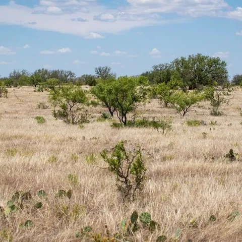 a view of a beach with a yard