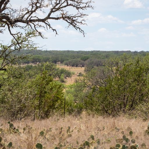 0 Starks Road Mason, TX 76856 - Photo 11 of 32 a view of a yard with a tree